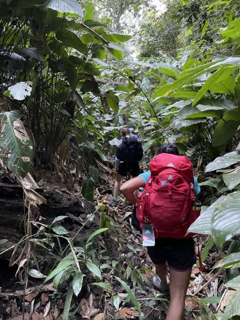 Gregory Jade 38: Perfect Backpack for Adventurous Travelers -