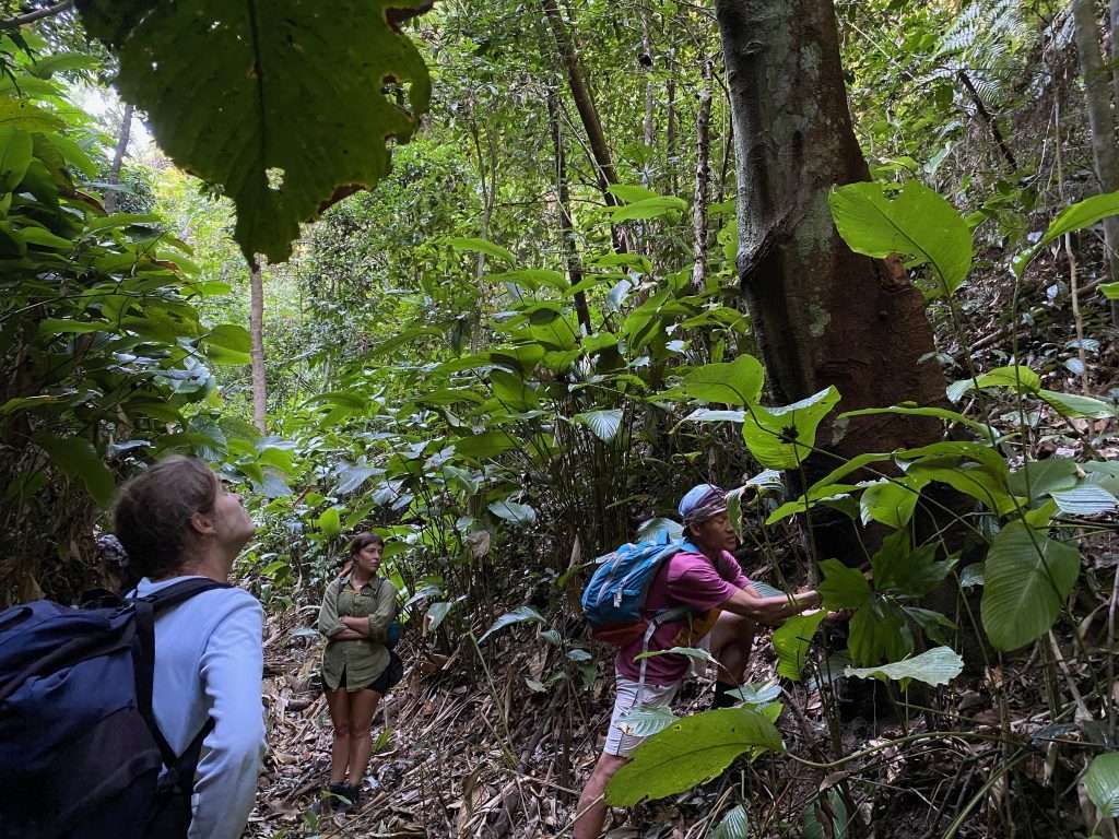 chiang mai hill tribe trek Chiang Mai Hill tribe trek