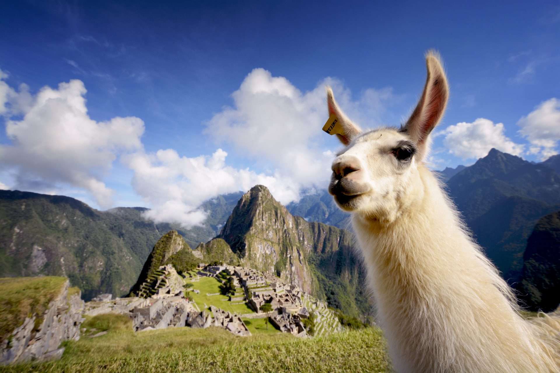 South America -