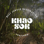 Khao Sok Lake tour khao sok national park guide