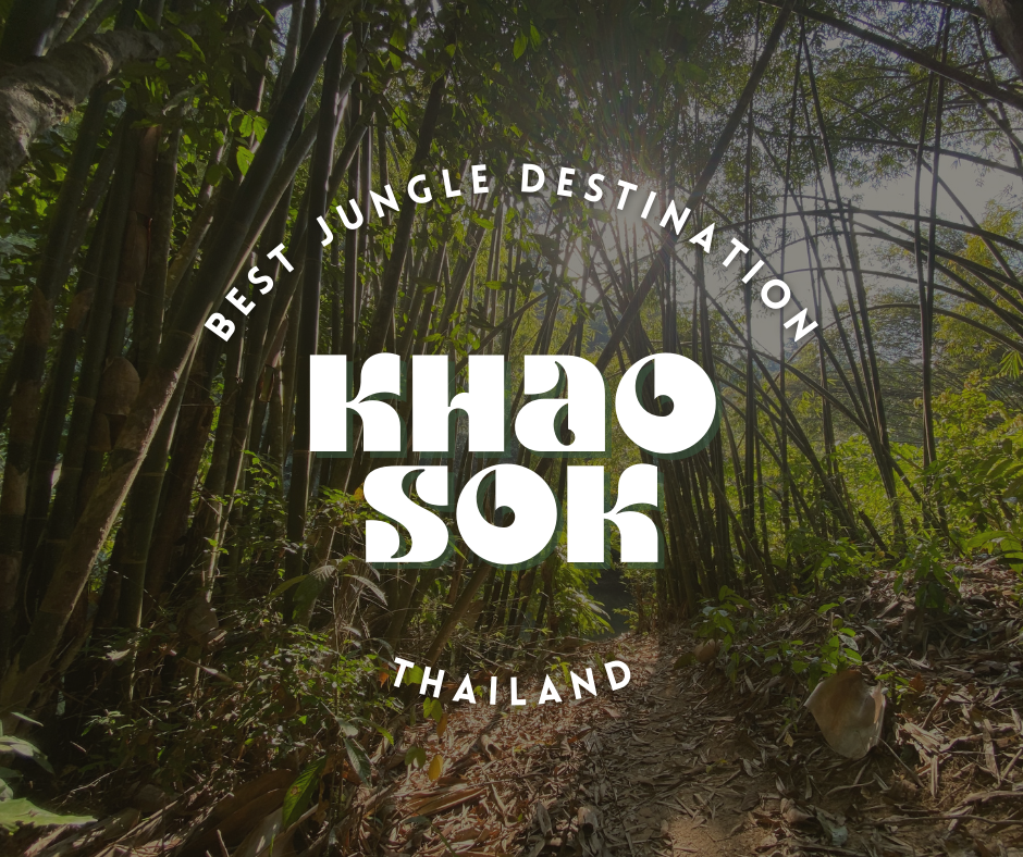 khao sok national park guide