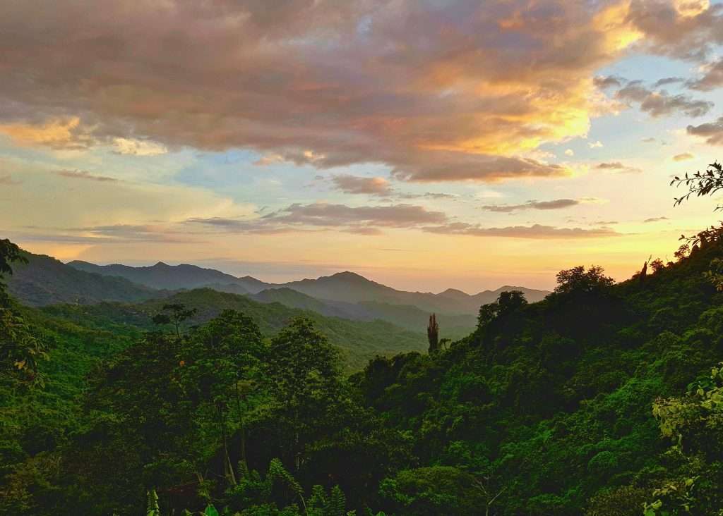 15 Top Things to Do in Minca Colombia: A Complete Travel Guide -