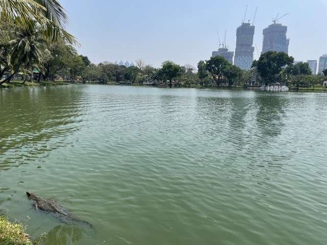 Lumphini Park, a fun thing to do while living in Bangkok