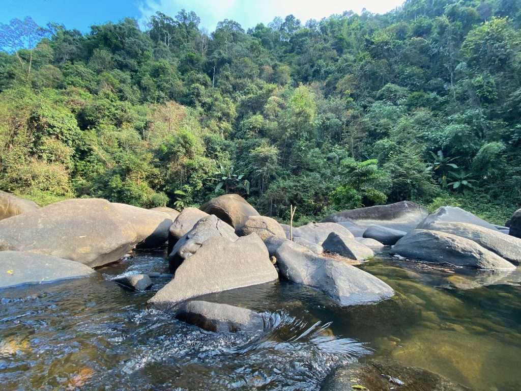 khao sok national park Khao Sok Bang Hua Rat River