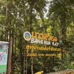 Khao Sok Lake tour 10 Best Hostels / Hotels in Khao Sok National Park for a Unique Experience -