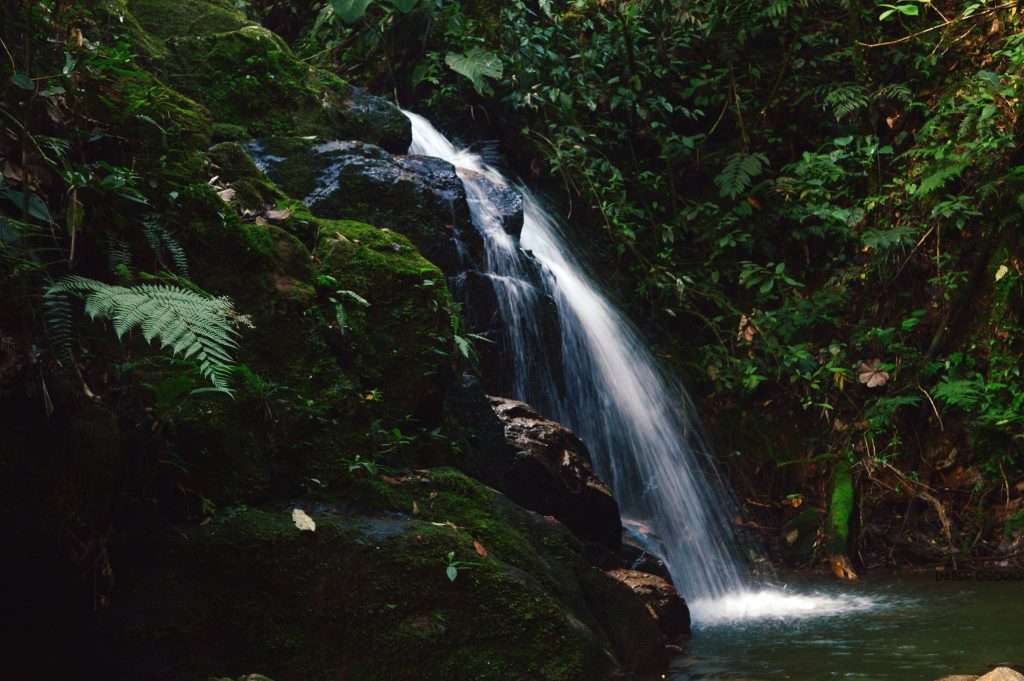 50 Unique and Fun Things to Do in Guatapé, Colombia -