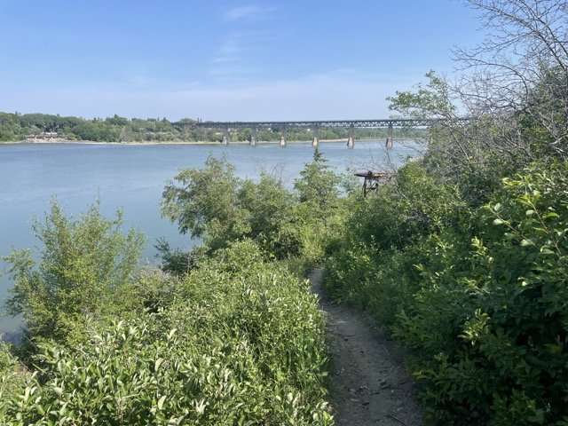 saskatoon hikes Chad & Joey’s Single-Track Trail, one of the best trails in Saskatoon