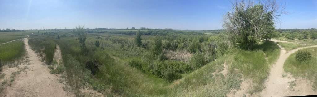 saskatoon hikes Peturrson’s Ravine, another one of the many good hiking spots in saskatoon
