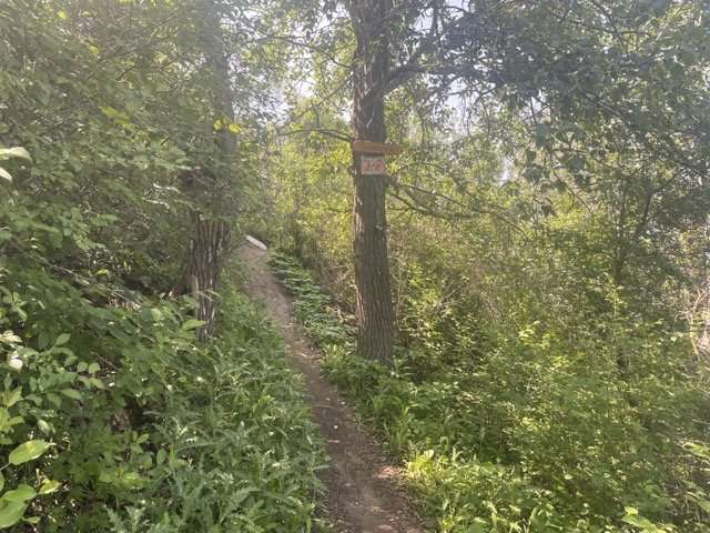 saskatoon hikes one of our favourite hiking trails in Saskatoon