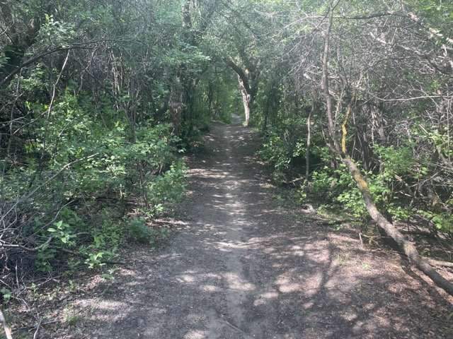 saskatoon hikes Sutherland Beach Off-Leash Recreation Area, one of the best saskatoon hikes