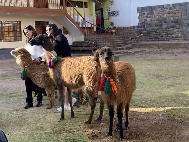 awana kancha farm