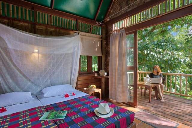 khao sok night safari Khao Sok Night Safari: What To Expect in the Wild Jungle Hike -