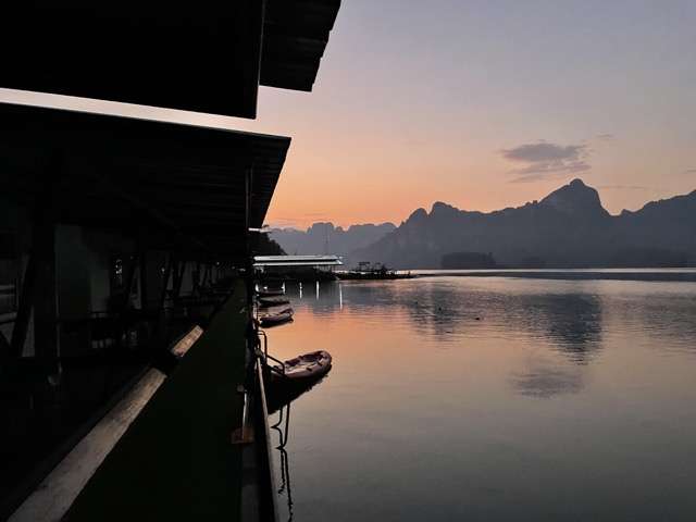 khao sok night safari Khao Sok Night Safari: What To Expect in the Wild Jungle Hike -
