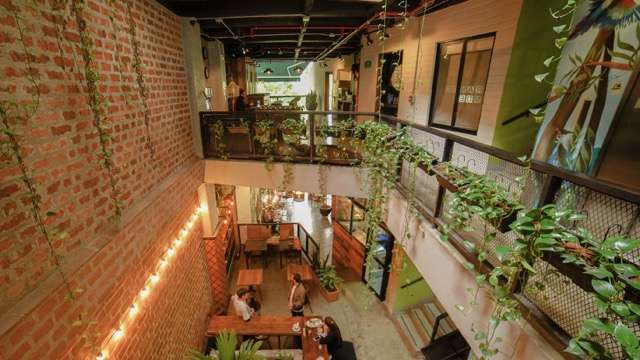 best hostels in medellin Best Family Friendly Hostel in Medellin - Hostel Rango Boutique