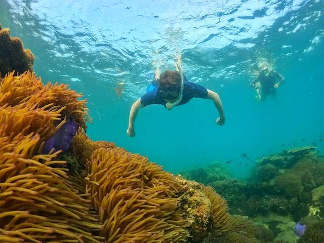 things to do in phu quoc 35 Best Things to Do in Phu Quoc Vietnam -