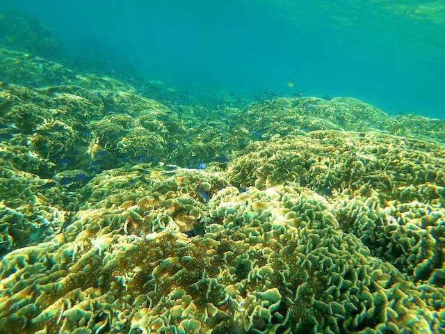 things to do in phu quoc 35 Best Things to Do in Phu Quoc Vietnam -