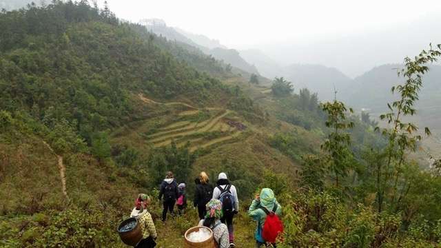 best cities in vietnam 13 Best Cities in Vietnam to Visit -