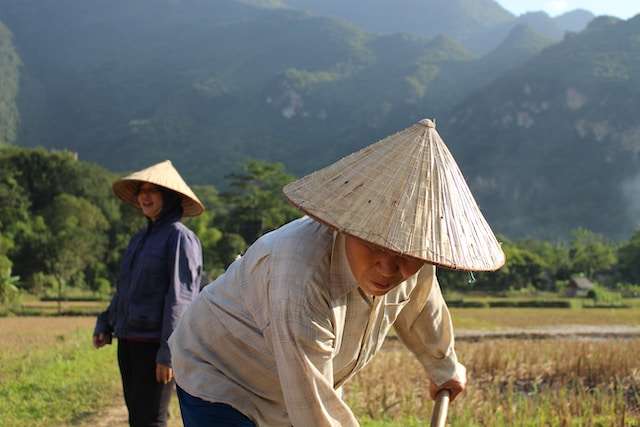best cities in vietnam 13 Best Cities in Vietnam to Visit -