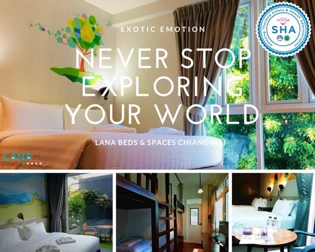 best hostels in chiang mai 10 Best Hostels in Chiang Mai for the Ultimate Stay -