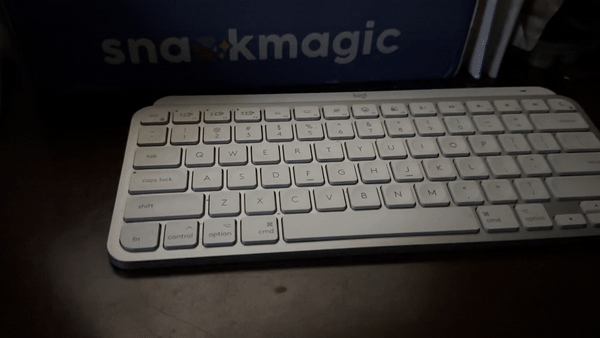 Logitech MX Keys vs Apple Magic Keyboard: Which Keyboard Is Better? (Updated March 2024) -