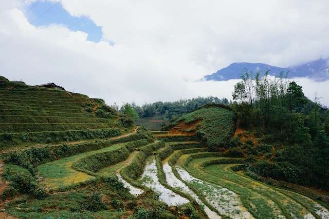 best cities in vietnam 13 Best Cities in Vietnam to Visit -