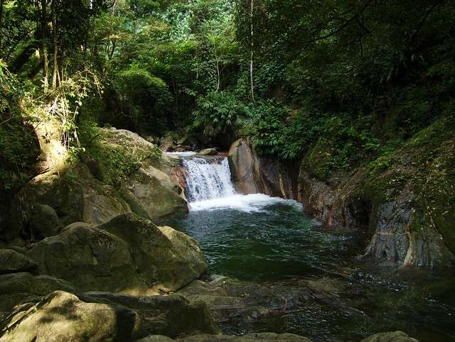 things to do in minca 15 Top Things to Do in Minca Colombia: A Complete Travel Guide -