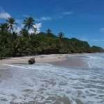 10 Best Hostels & Hotels in Palomino Colombia for the Ultimate Experience -