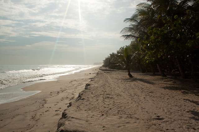 palomino guajira Palomino Guajira Itinerary: A Complete Guide for the Perfect Stay -