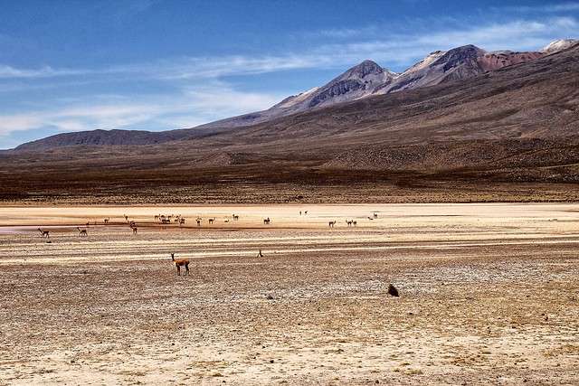 best things to do in arequipa 33 Best Things to Do in Arequipa Peru -