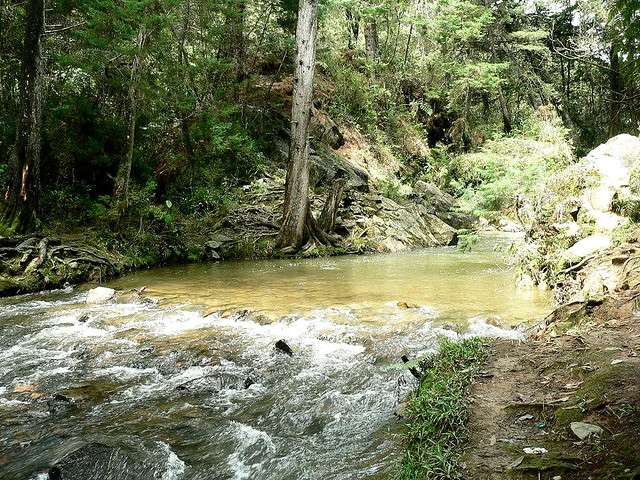 10 Best Medellin Hikes for an Amazing Day -