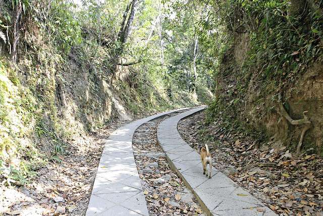things to do in minca top things to do in minca colombia