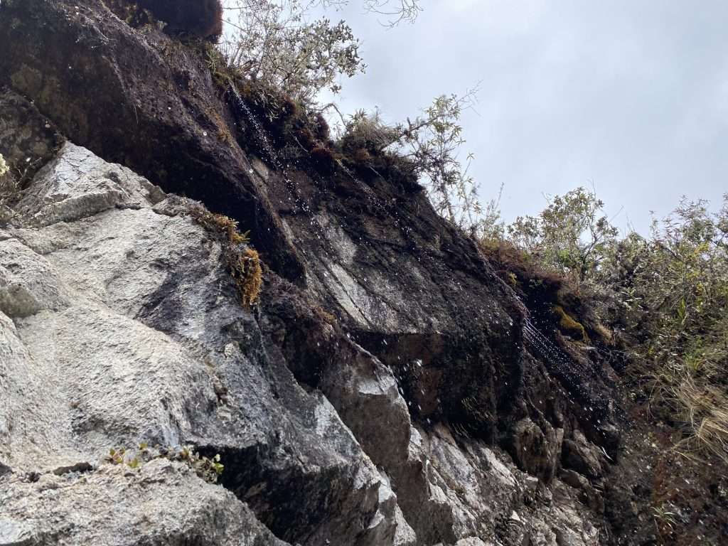 What To Expect: Epic Inca Trail Adventure to Machu Picchu -