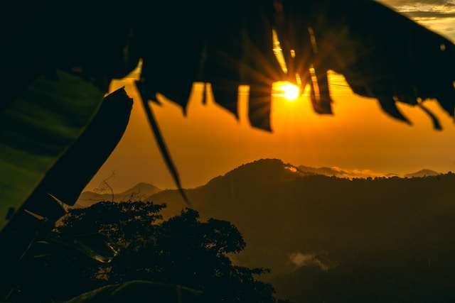 Best Hostels in Minca Colombia