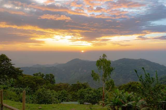 How to Get from Santa Marta to Minca: 3 Best Ways to Get There and Back -
