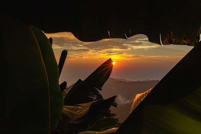 things to do in minca 15 Top Things to Do in Minca Colombia: A Complete Travel Guide -