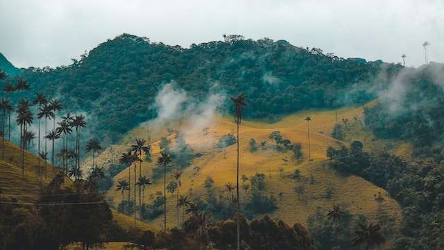 living in colombia 19 Pros and Cons of Living in Colombia: What You Need to Know -