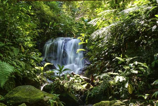 things to do in minca 15 Top Things to Do in Minca Colombia: A Complete Travel Guide -