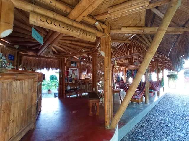 10 Best Hostels & Hotels in Palomino Colombia for the Ultimate Experience -