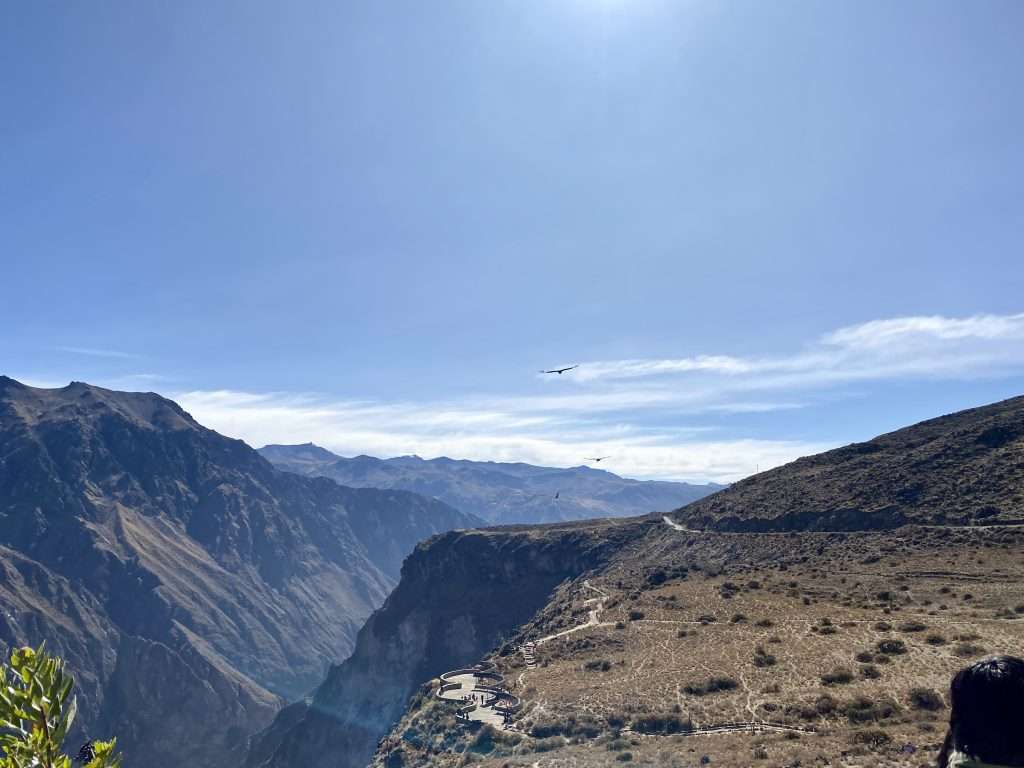 Thrilling 2 Day Colca Canyon Trek | What to Expect -