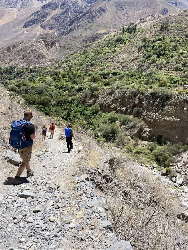 Thrilling 2 Day Colca Canyon Trek | What to Expect -