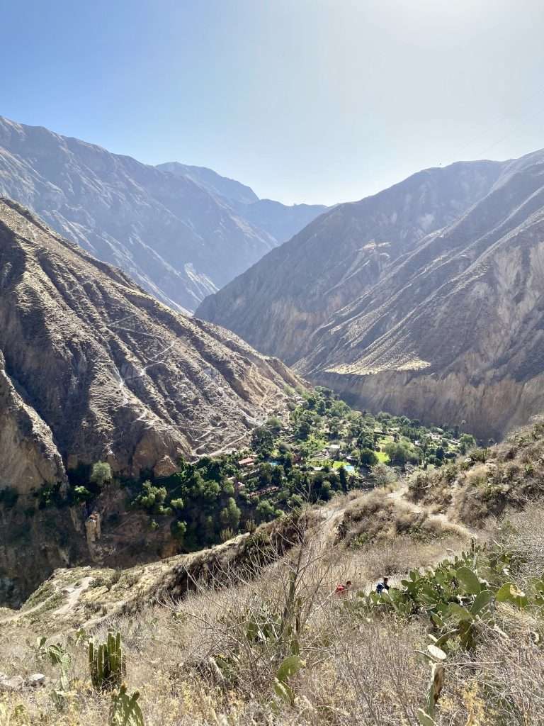 Thrilling 2 Day Colca Canyon Trek | What to Expect -