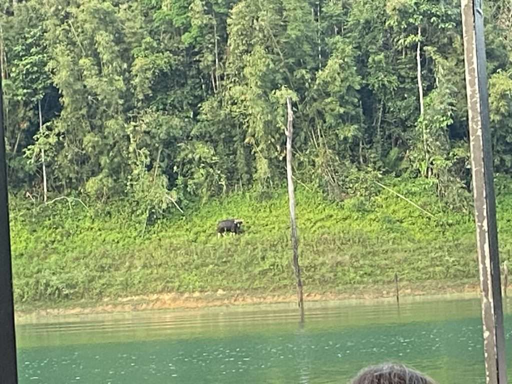 Khao Sok Lake tour Impressive 2 Day Khao Sok Lake Tour - What to Expect -