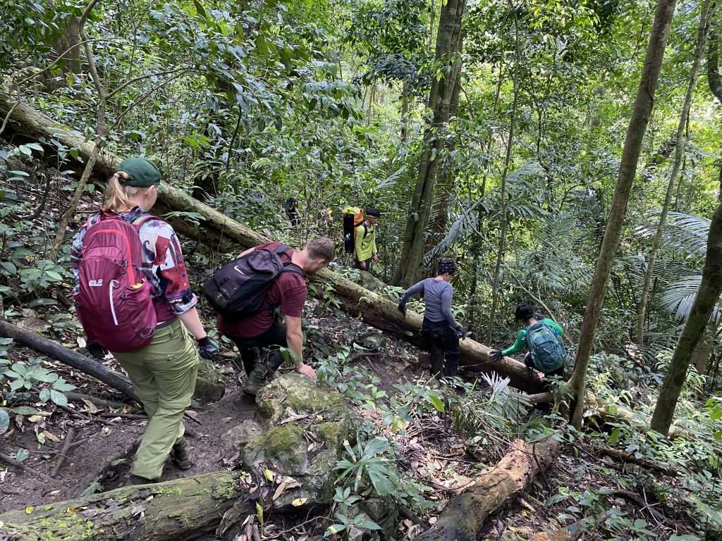 Hang pygmy Hang Pygmy: The 2-Day Vietnam Cave Trek You Should Not Miss -