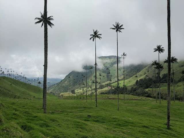 medellin to salento How to Get From Medellin to Salento Colombia: 2 Best Ways & Why to Visit -