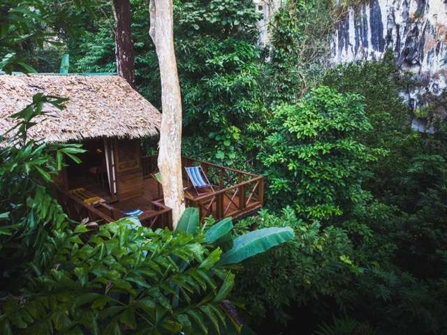 Hotels in Khao Sok National Park 10 Best Hostels / Hotels in Khao Sok National Park for a Unique Experience -