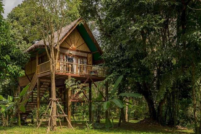Hotels in Khao Sok National Park hotels in khao sok national park