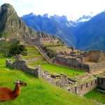 best time to visit peru Machu Picchu with Alpacas