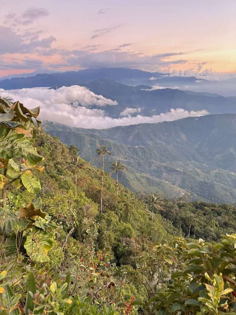 Ultimate Cerro Kennedy Guide - Everything You Need to Know -