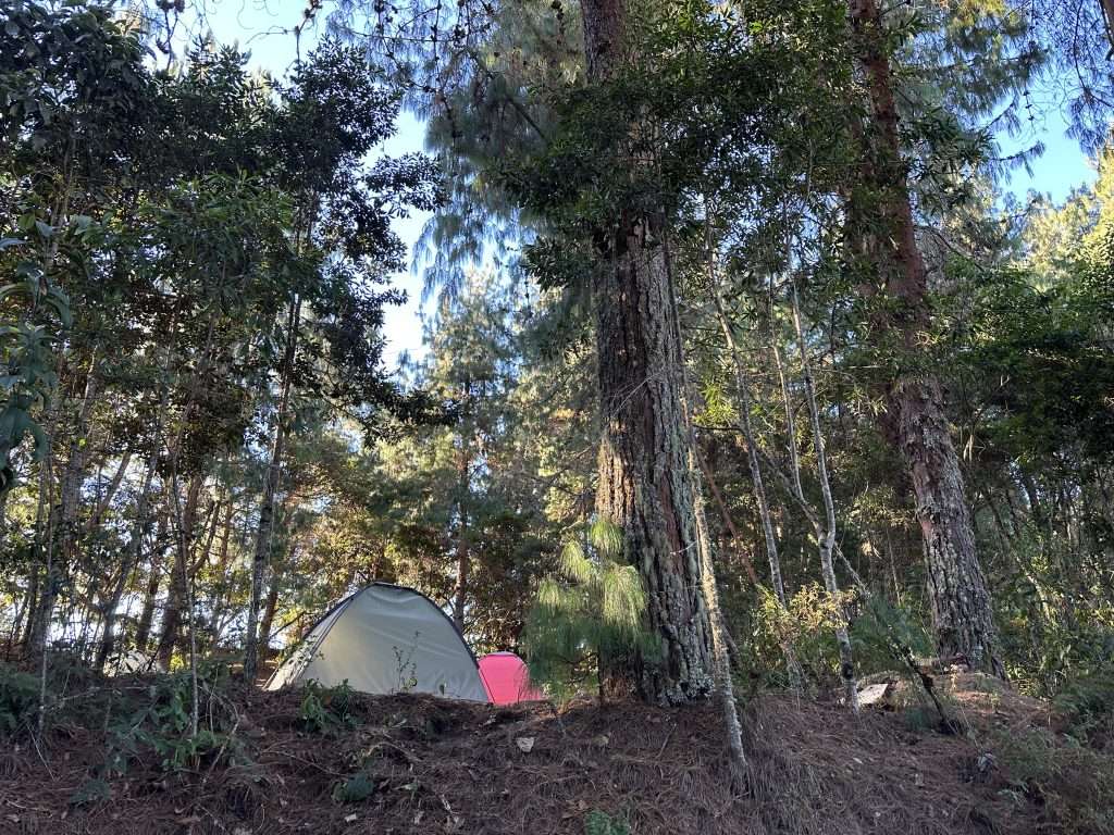 Ultimate Cerro Kennedy Guide - Everything You Need to Know -