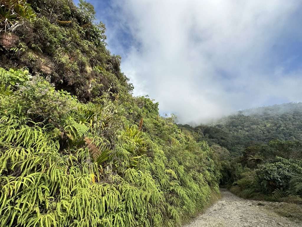 Ultimate Cerro Kennedy Guide - Everything You Need to Know -